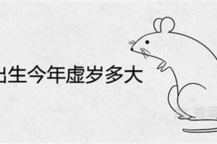 属鸡人2025全年运势 属鸡人2025年每月运势