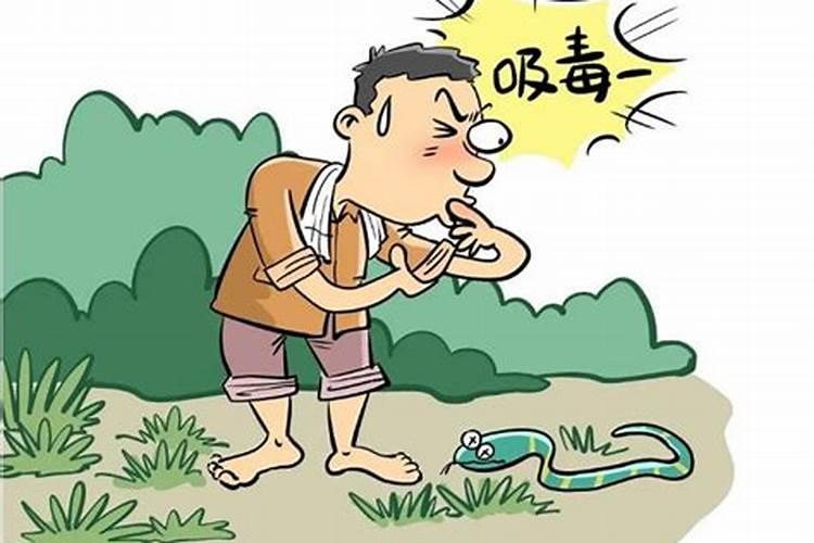 2025年属猪的全年运势
