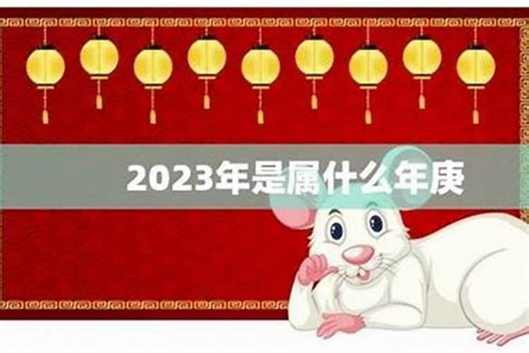 84年鼠女2024年下半年运势