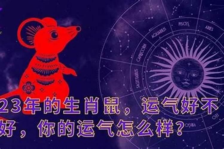 84年鼠41岁开始转运了吗