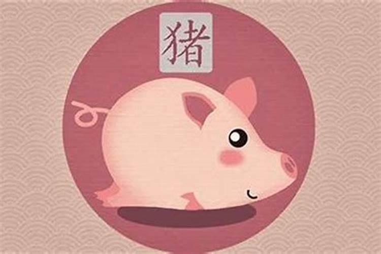 生肖猪1971年2025年运势如何 生肖猪1971年2025年全年运势