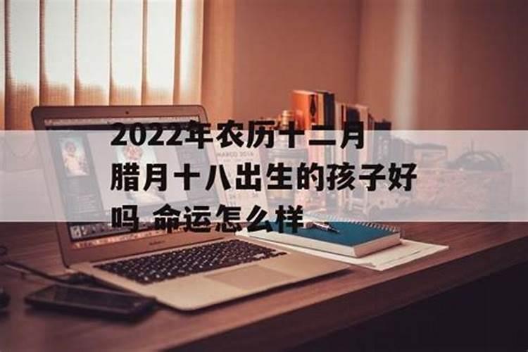 1985属牛女2025年的运气和财运怎么样