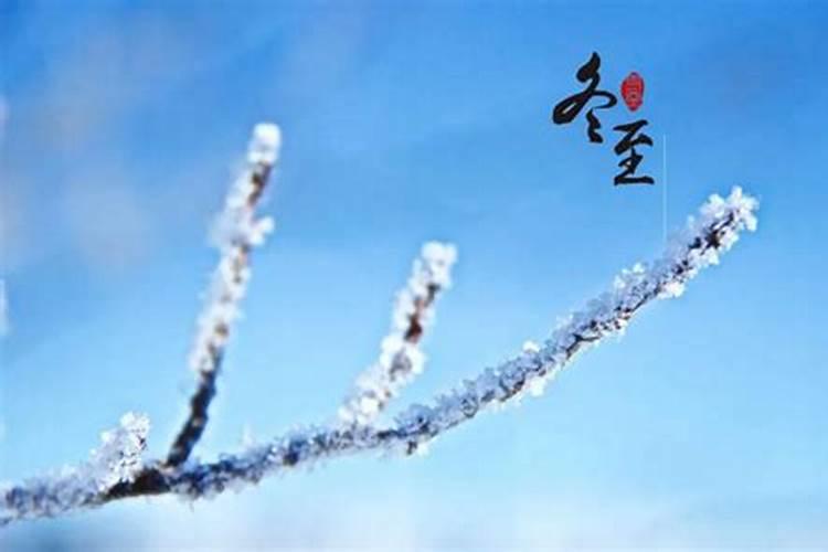 24节气冬至是什么意思 24节气冬至指的是什么