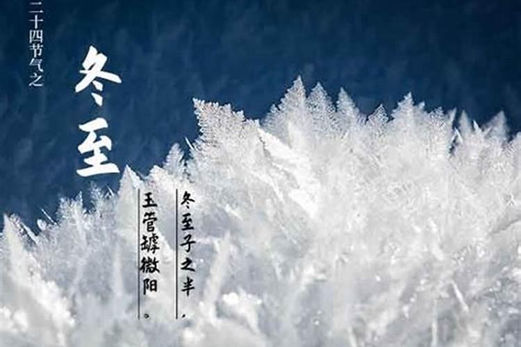 19年犯太岁的四大生肖