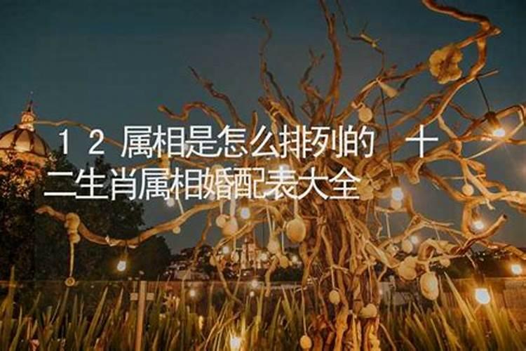 2025年哪个月份出生的宝宝最好