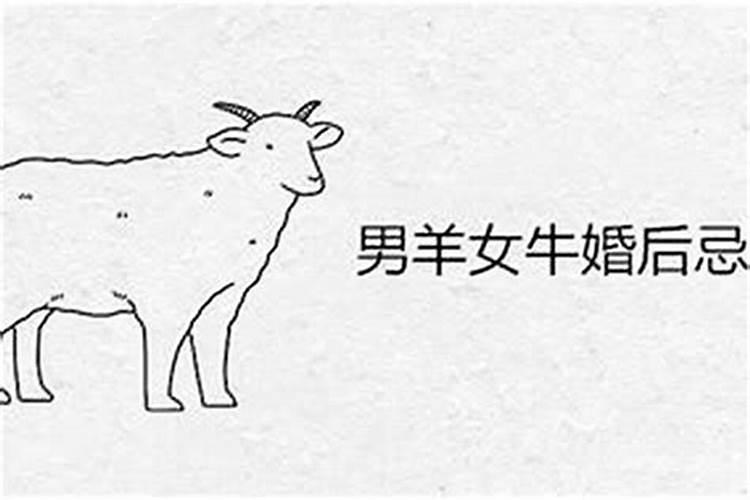 属猴犯太岁如何化解