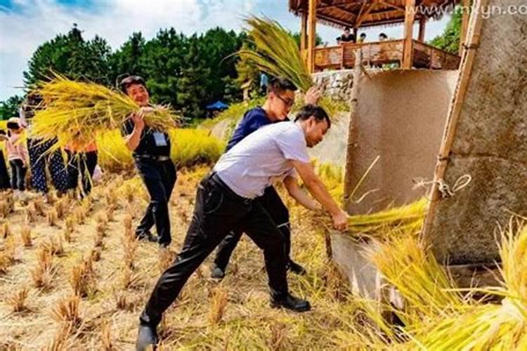 属鼠佩戴什么生肖好 属鼠生肖的佩戴哪种生肖好