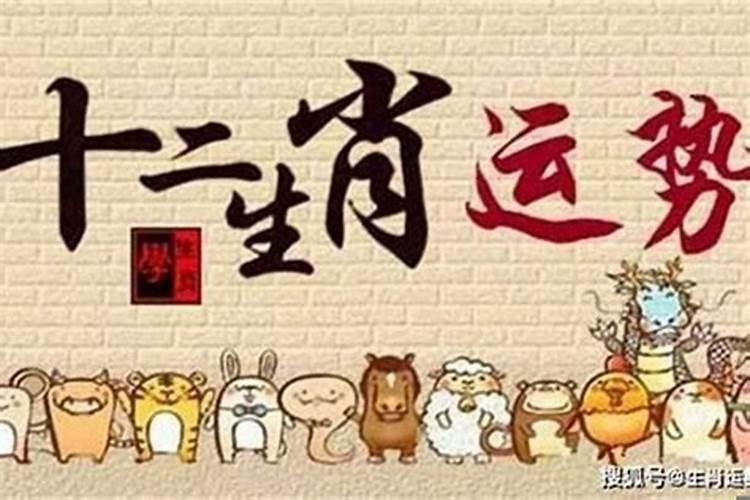 2025生肖兔的运势大全 属兔人2025年每月运势
