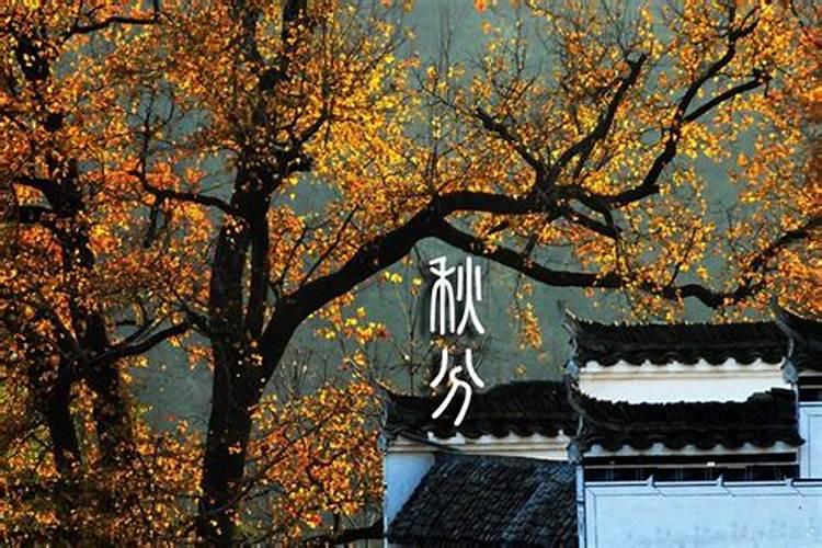 春节适合带孩子去哪里旅游 春节去哪里旅游比较好国内