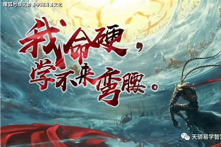 属兔的和什么属相相配 属兔的和什么属相最配最合适