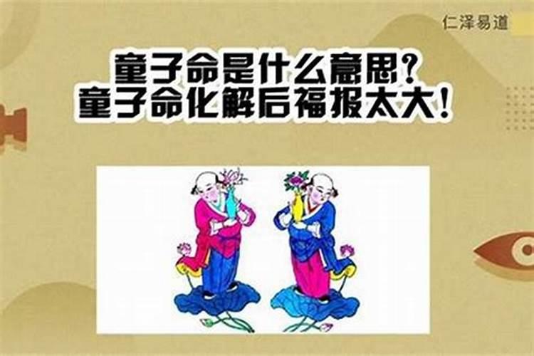 属虎女1986年2025年运势及运程