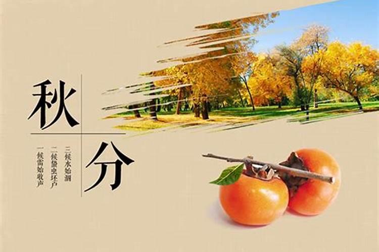 77年属蛇2025的运势及运程如何