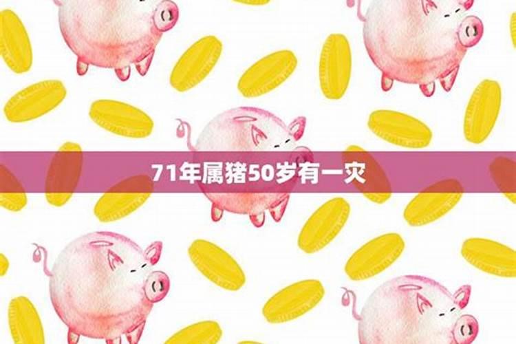 71属猪人的灾难年龄