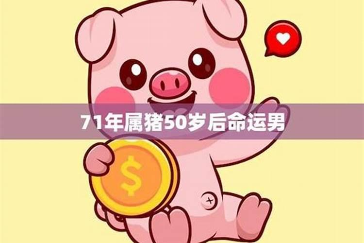 猪和哪些属相不合,71年属猪50岁有一灾