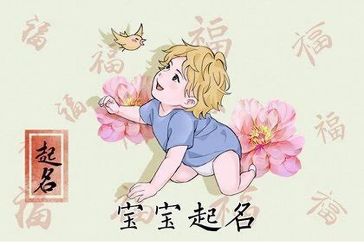 饿金命人