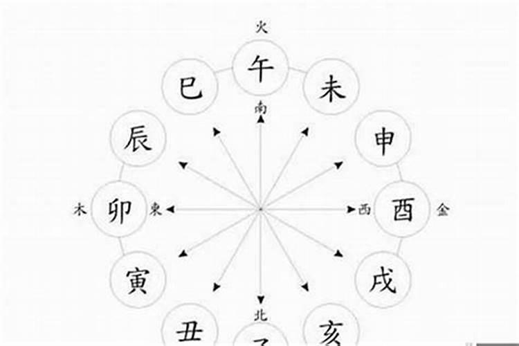 哪位大师看看我的八字是从格吗？己巳 丁丑 癸未 乙卯