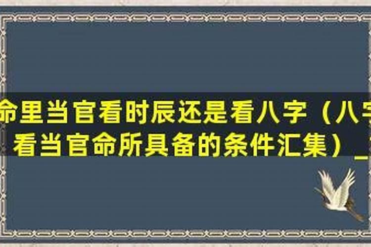 能当官的八字是怎么样的？