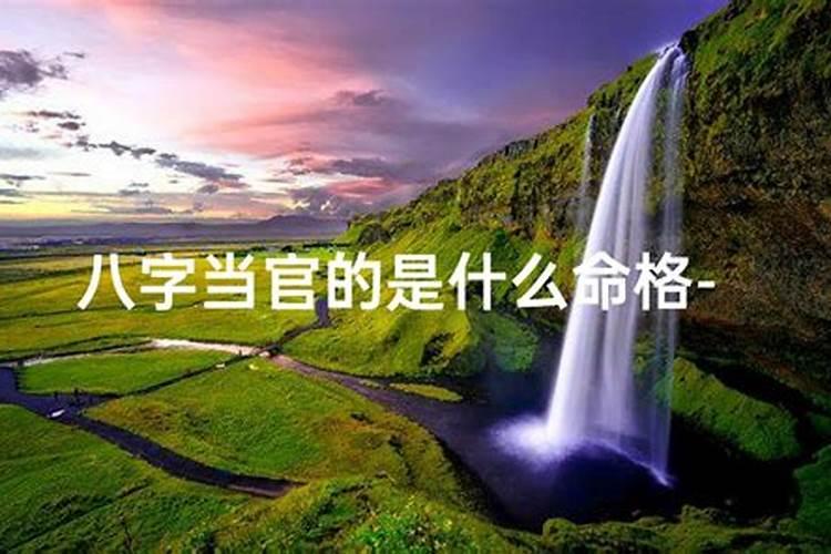 什么样的八字具有当官的命格