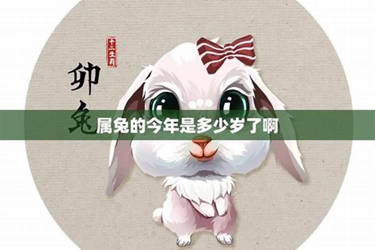 重庆哪里的门面好点,自己做生意？