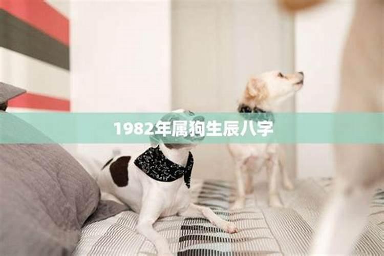 梦见朋友变鬼的预兆