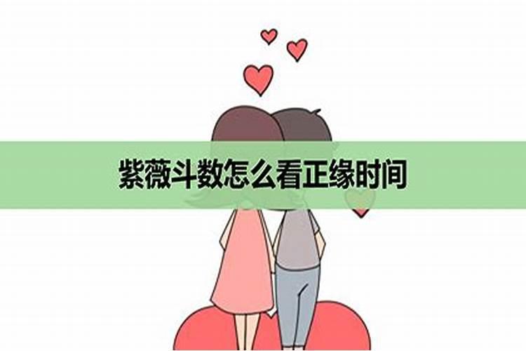 紫微星盘怎么看,学习学习。最好详细点。