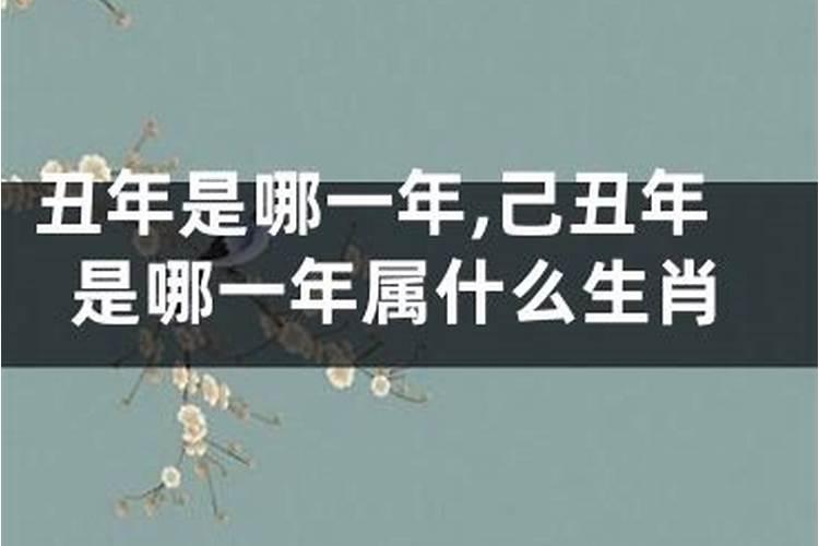 丙午丁未年是哪一年