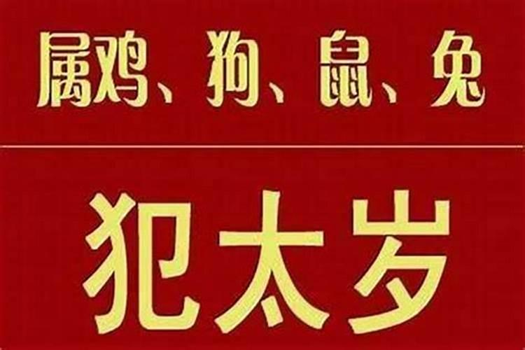 女人梦见自己坐飞机是什么寓意