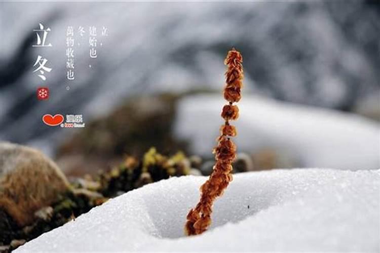 立冬注意事项