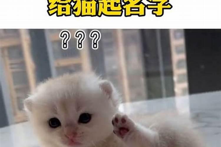 梅州的宗教信仰有哪些