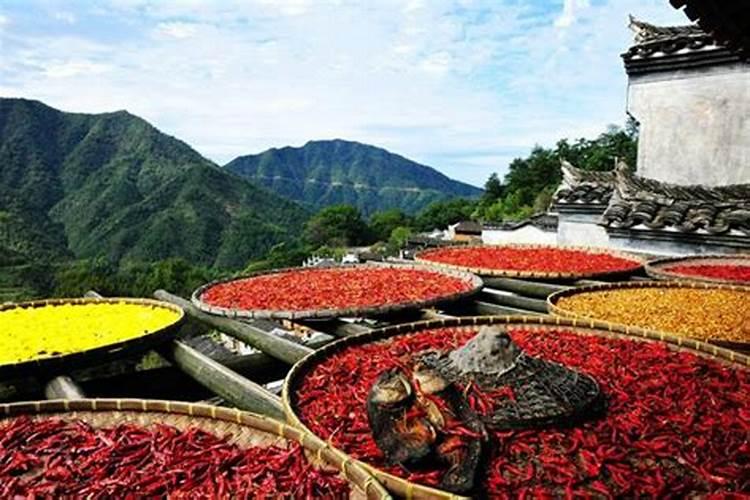 河南周口重阳节的民风民俗有什么