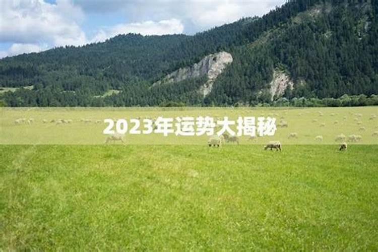 1991年属羊2025年全年运势
