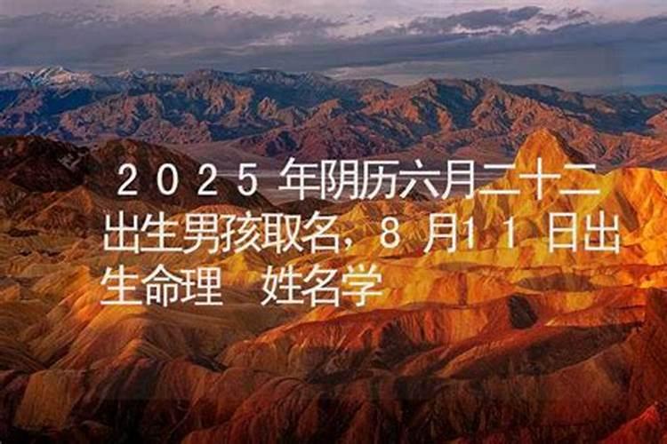 1984年正月二十一鼠2025年农历6月运势