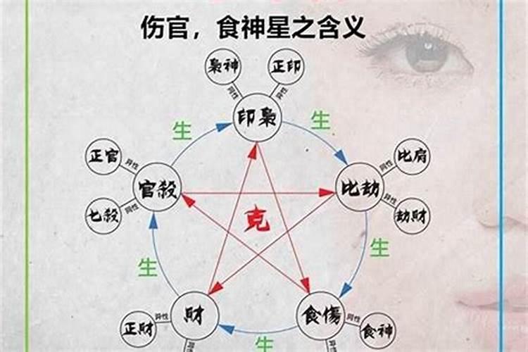 79年属羊2025年每月运势