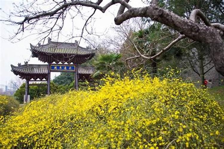 2025年岁破方位在哪里 蛇年冲太岁方位怎么化解