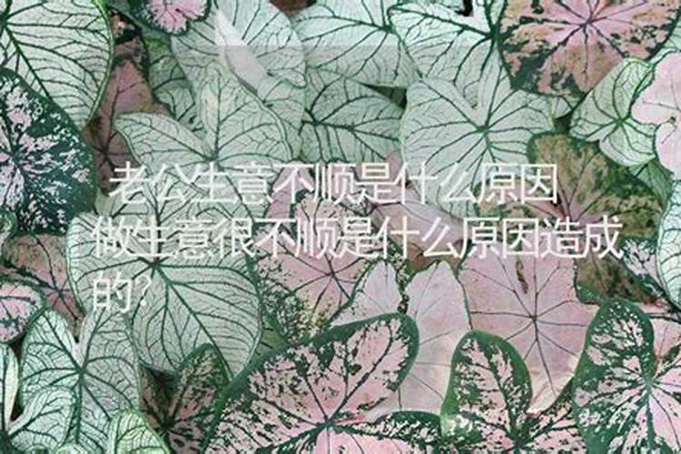 为什么做生意总不顺利求解？