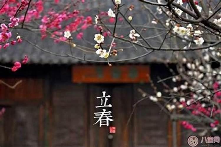 肖兔的人立春节气命运是什么样？2023立春喜神方位