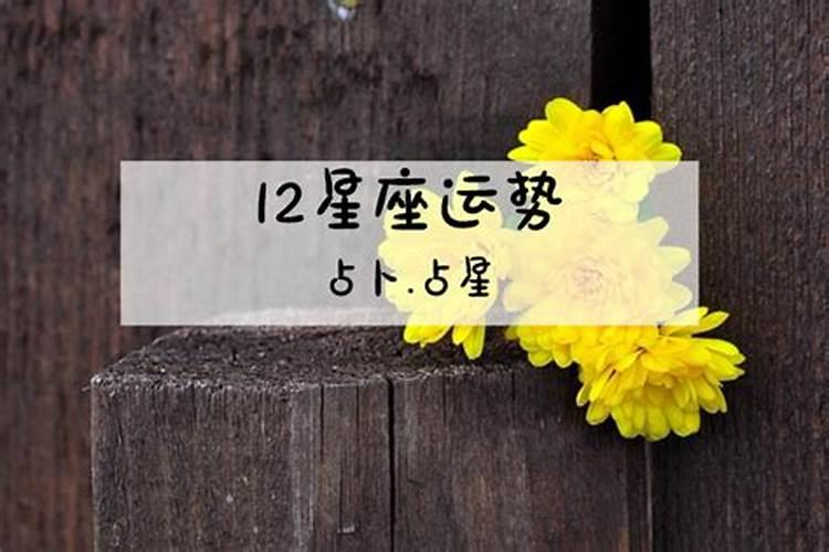 2024年7月2日生肖龙运势