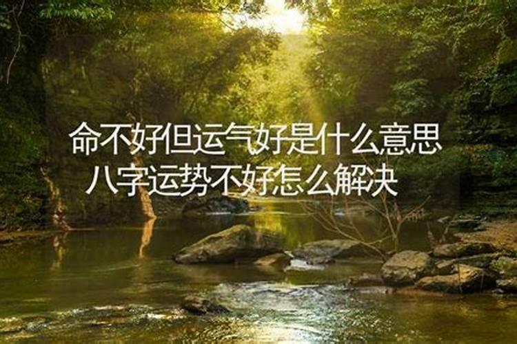 2024年动荡的生肖 动荡不安寸步难行？
