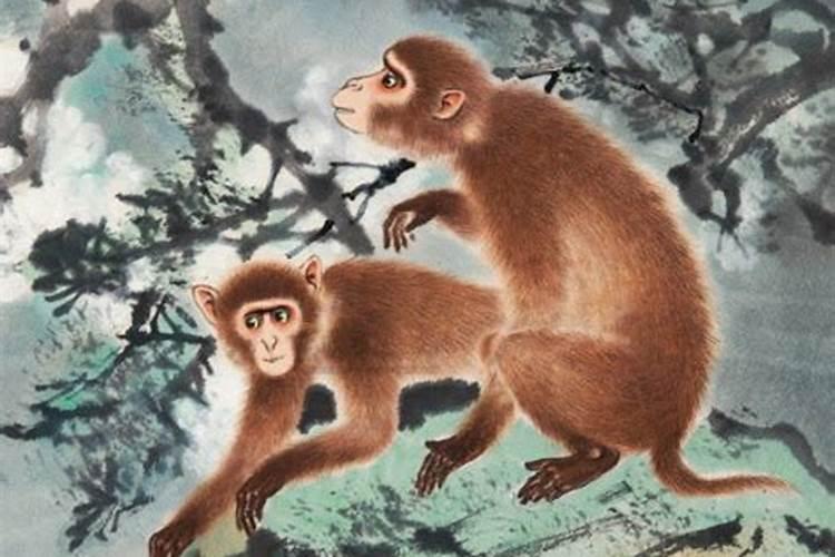 80年出生的人下年运程如何