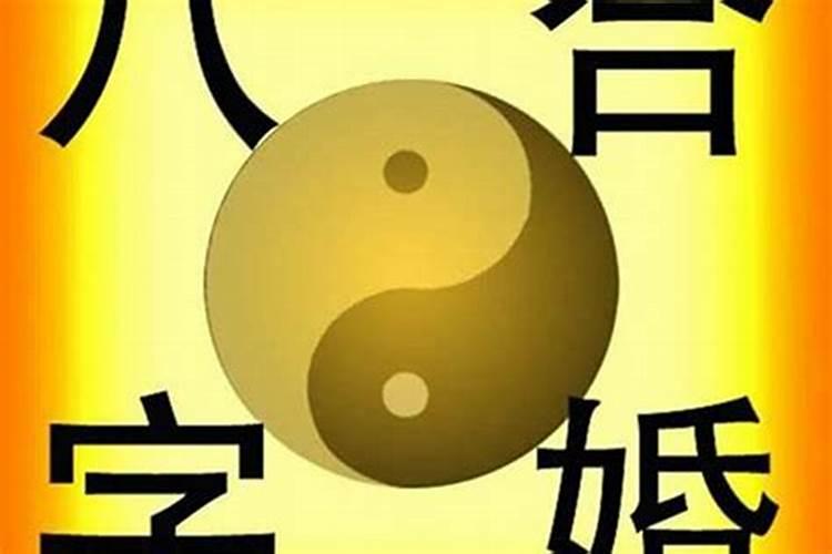 属马人哪一年犯太岁最严重,各方面运势如何