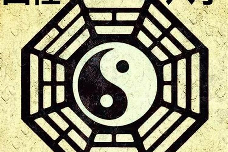 82年的狗未来五年的运势