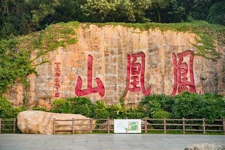 凤凰山求签在什么地方
