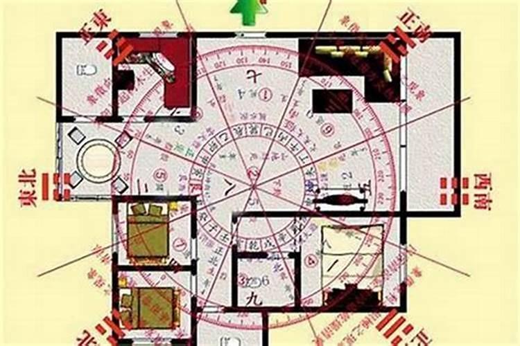是按整栋楼还是按户型来看风水