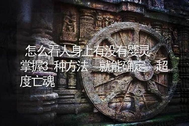 生肖猴1980年2025年运势如何 生肖猴1980年2025年全年运势