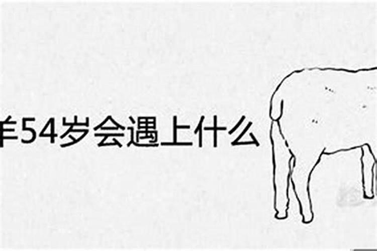 属羊是哪些年份出生,67年属羊54岁命中注定