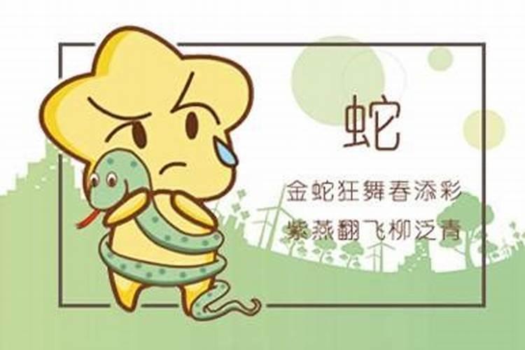 属鼠和属蛇的八字怎么样 六合吗？