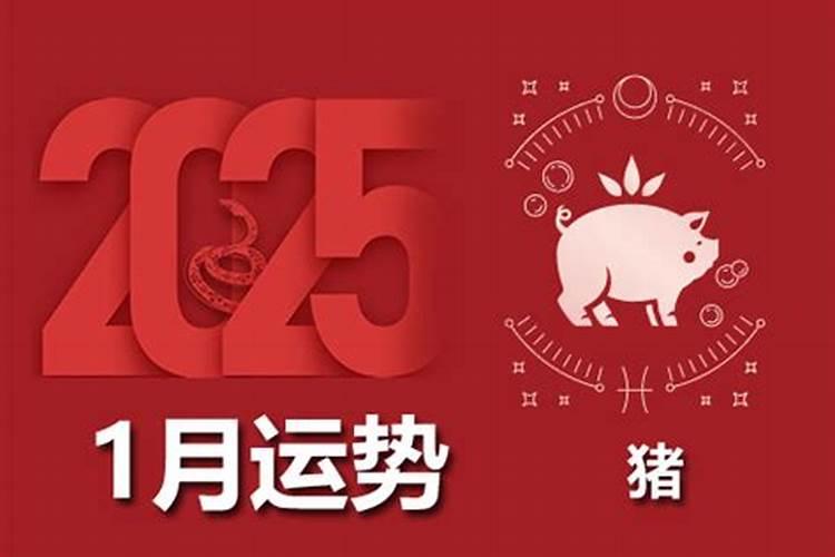 属猪人2025年每月运势