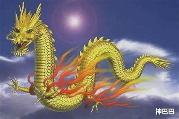2009年属龙运程