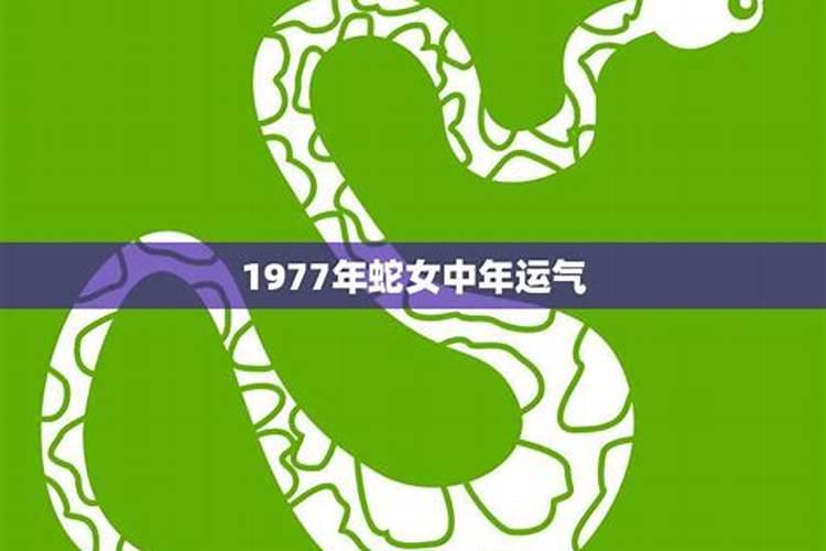 1985年属牛2023年本命年佩戴什么手链人好,本命年带什么最合适百度知 ...