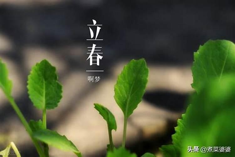2025年大理三月街具体是在几月几日开启活动呀？